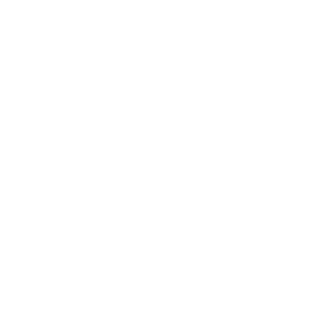 wavielle logo  iphone shield case 